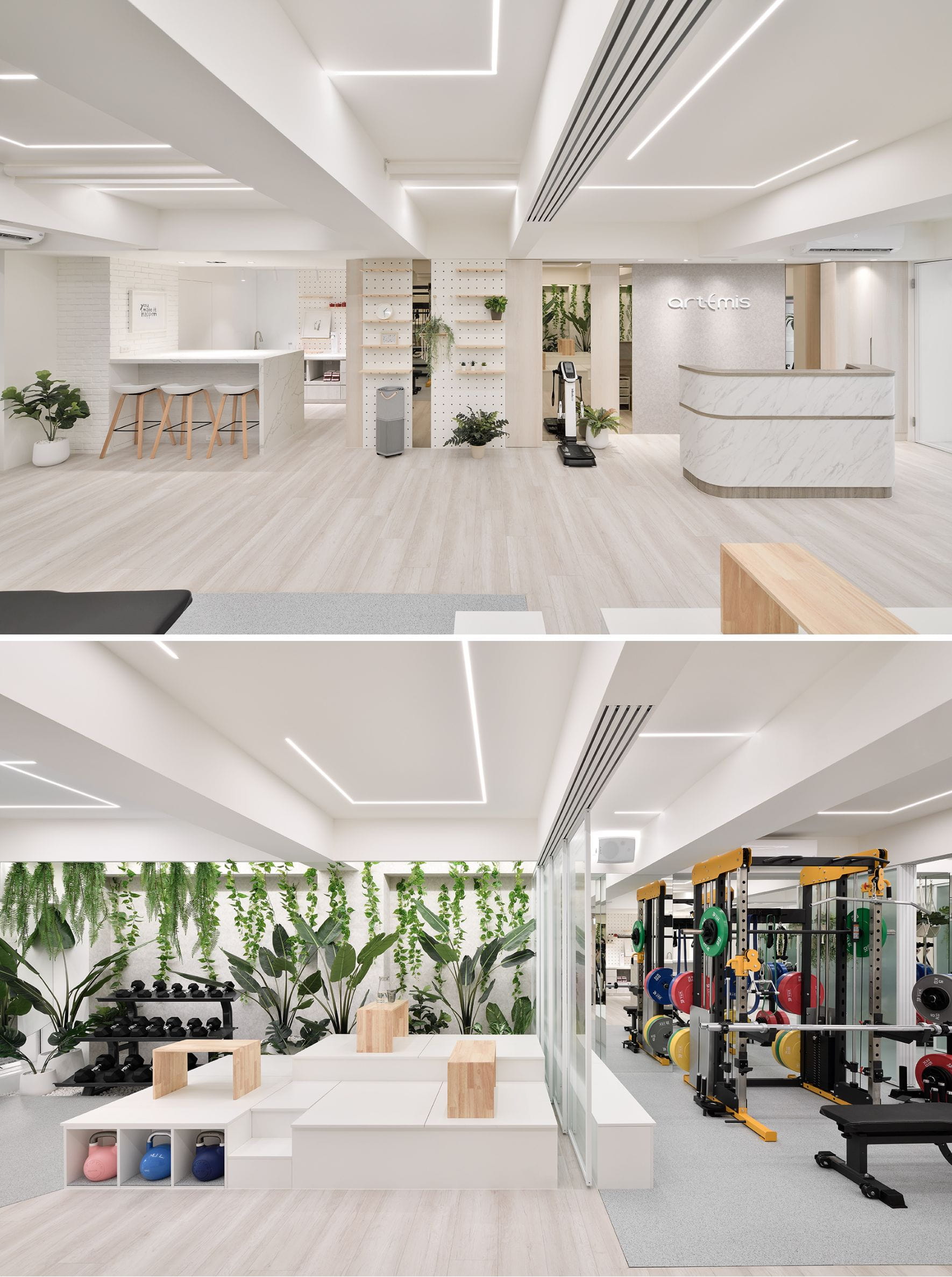 空間;設計;健身房;商業空間;綠化;藝飛室內設計