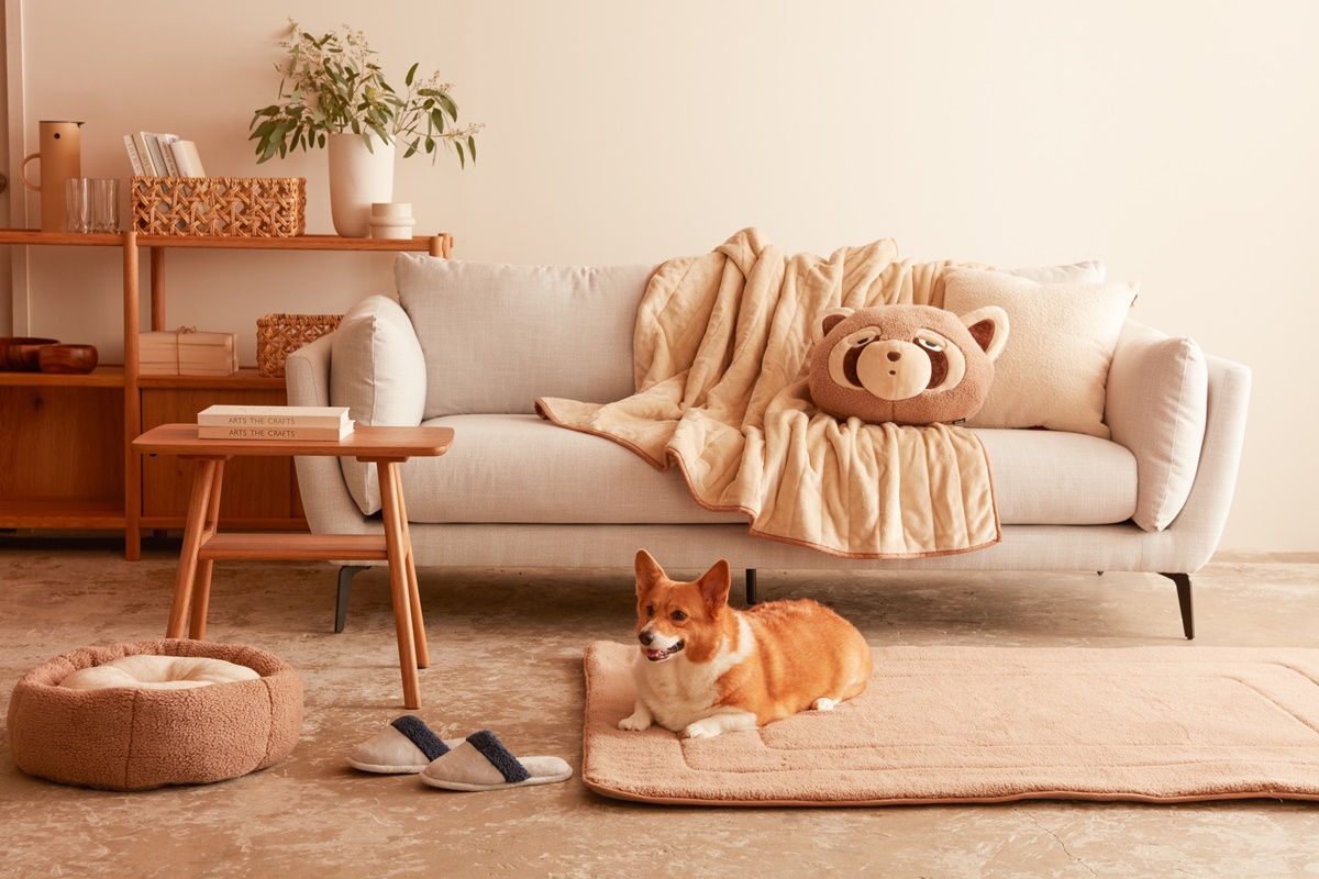 人寵共居；寵物宅；寵物用品；寵物清潔、防抓沙發