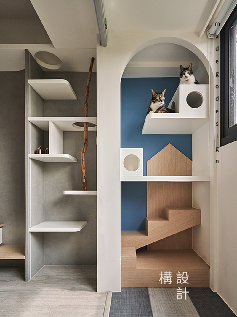 寵物宅；寵物空間；室內設計；毛孩